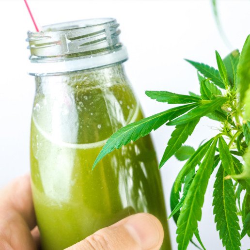 Protéines de Chanvre BIO pas cher sur CBD.fr