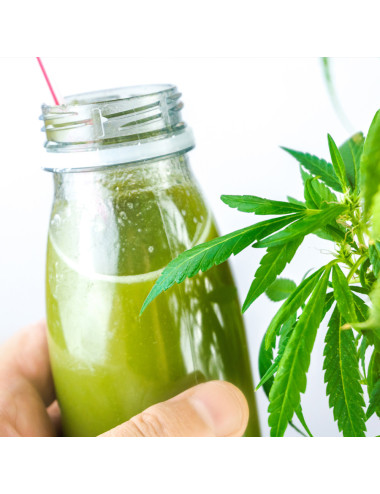 Protéines de Chanvre BIO pas cher sur CBD.fr