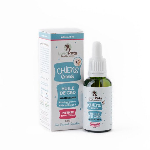 Huile de CBD Intense 550mg CBD pour chiens de 20 à 45kg Lovapets pas cher sur CBD.fr