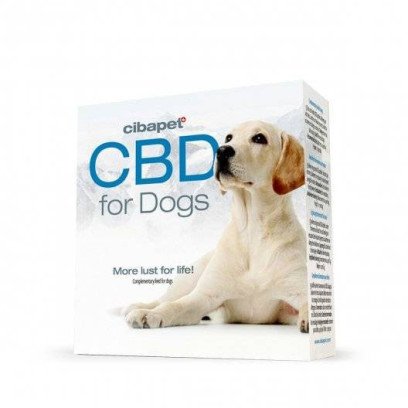 CBD pour animaux (chien, chat, cheval) : que dit la science ?