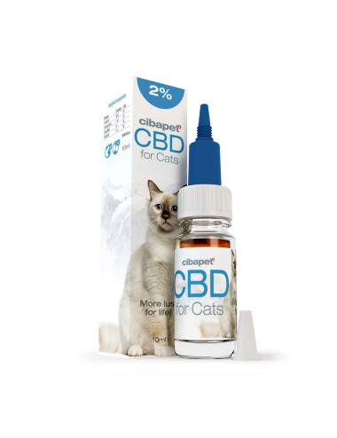 Huile de CBD pour chats - Cibdol 