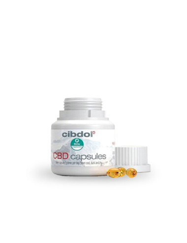 Capsules CBD Cibdol CBD 20%