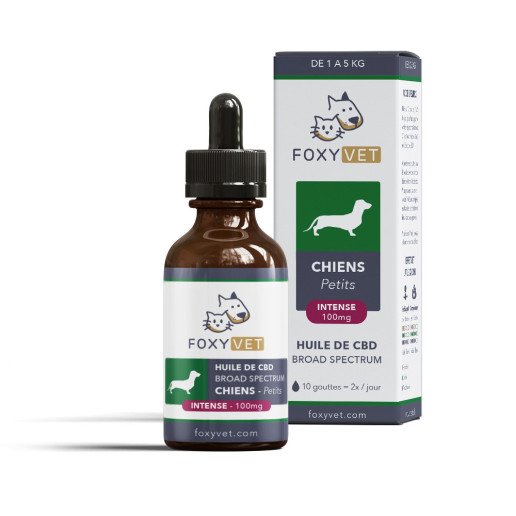 Huile de CBD Pour Petit Chien 100mg 30ml - Foxyvet