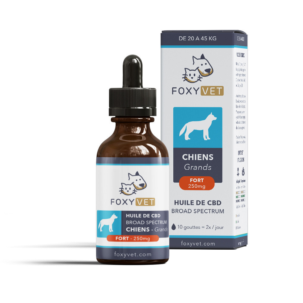Huile de CBD Pour Grand Chien 250mg 30ml - Foxyvet Huile de CBD Pour Grand Chien 250mg 30ml - Foxyvet