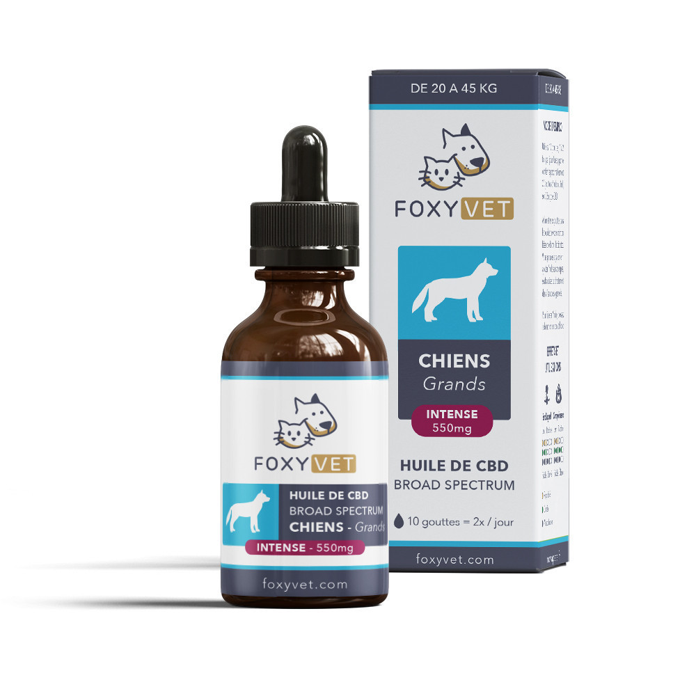 Huile de CBD Pour Grand Chien 550mg 30ml - Foxyvet