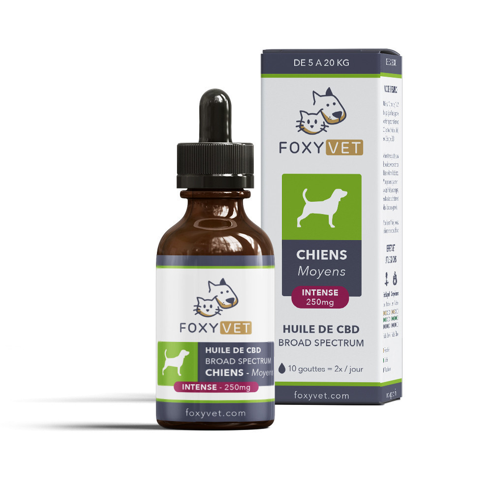 Huile de CBD Pour Chien Moyen 250mg 30ml - Foxyvet