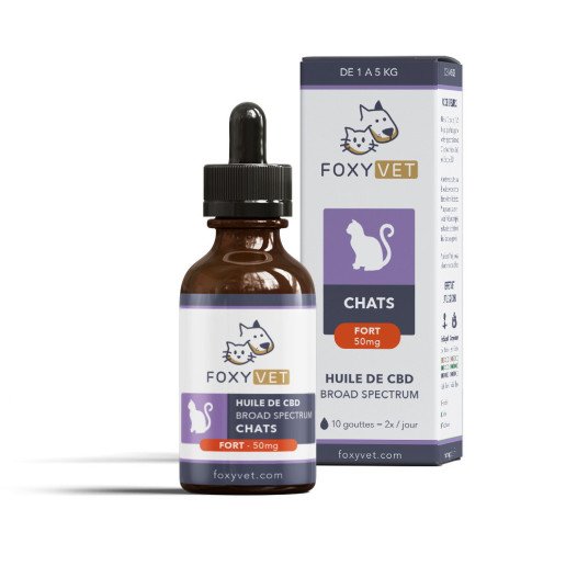 4 Fioles d'Huile CBD Chat - CBD pour Animaux - Authentique-CBD