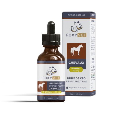 CBD pour animaux (chien, chat, cheval) : que dit la science ?