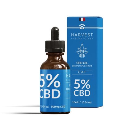 Le CBD pour les animaux : ce qu'il faut savoir – AOMA CBD SHOP