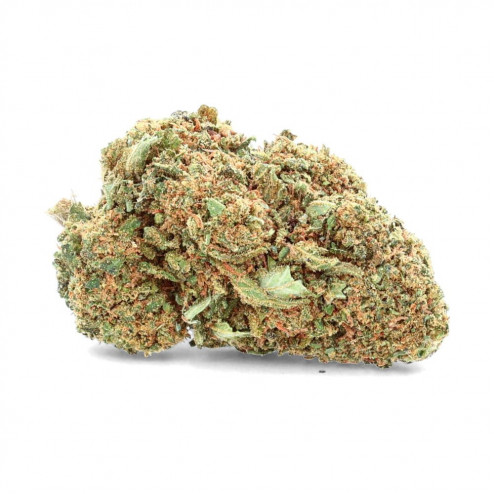 Amnesia Greenhouse - CBD.fr