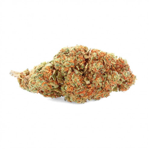 Banana Kush Indoor - CBD.fr
