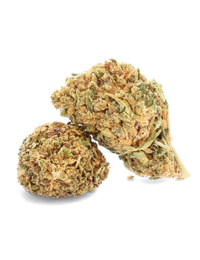 5% - Fleurs de CBD Greenhouse dispo au meilleur prix sur CBD.fr