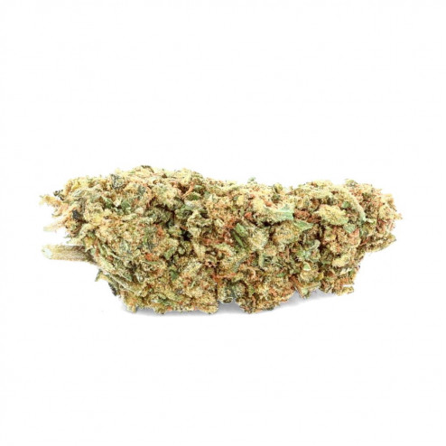 Cheese Greenhouse - CBD.fr