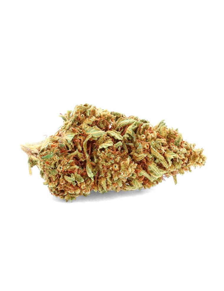 Orange Bud Indoor - Fleur de CBD - CBD.fr pas cher