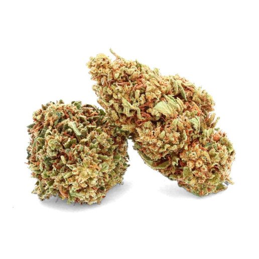 Orange Bud Indoor - Fleur de CBD - CBD.fr