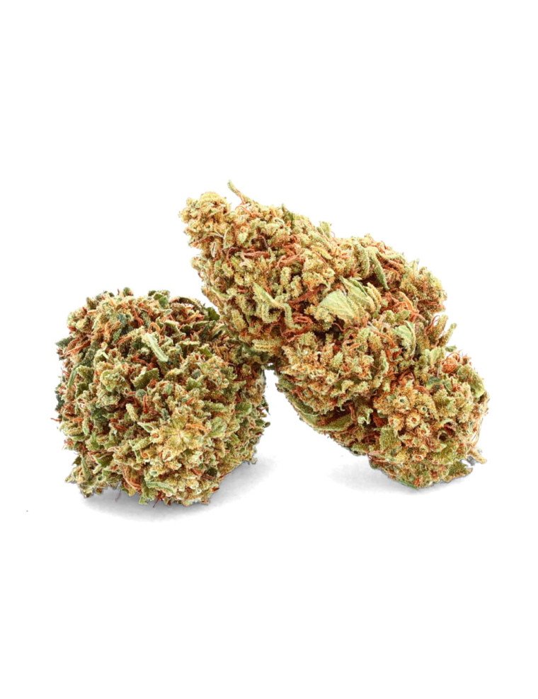 Orange Bud Indoor - Fleur de CBD - CBD.fr