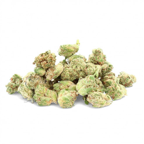 Pop Corn Indoor - CBD.fr