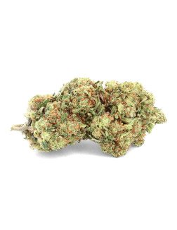 Purple Haze Premium - Fleur de CBD - CBD.fr