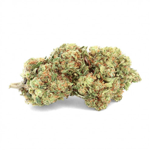 Purple Haze Premium - CBD.fr