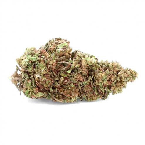 Skywalker Greenhouse - CBD.fr