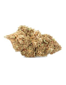 Fleurs de CBD en vracs sur CBD.fr