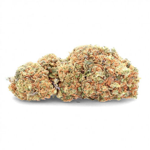Pineapple Kush - Ivory