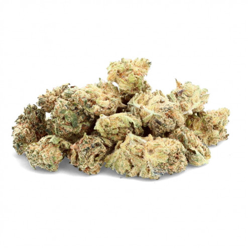 Gorilla Glue - Ivory