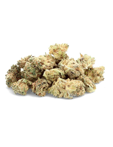 Fleurs de CBD small buds de la marque Ivory