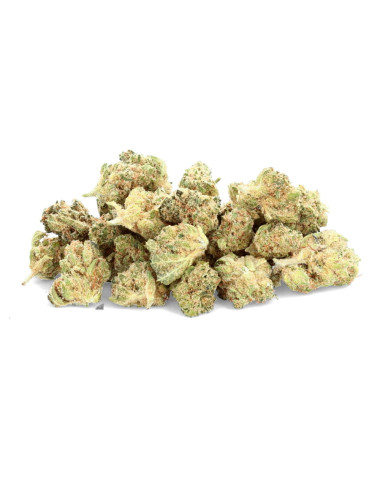 Small Buds de CBD de la marque IVORY