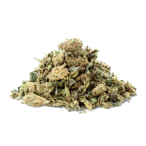 Critical Cheese Trim - Ivory