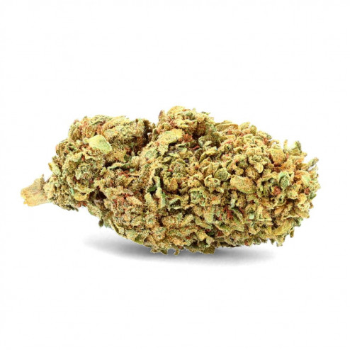 White Widow - Fleur de CBD - CBD.fr