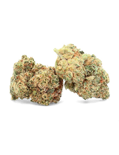 fleurs de CBD suisse - Bubble gum