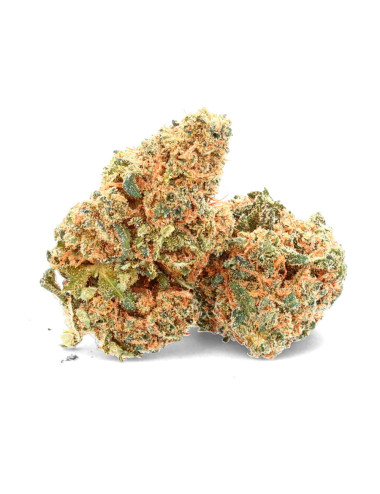 Fleurs de CBD premium au gout de AK47