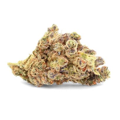 Ivory Durban Poison - Fleurs de CBD premium