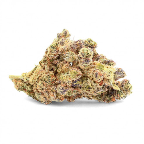 Durban Poison - Ivory