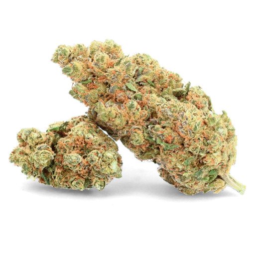 O.G cookie fleurs de CBD ivory