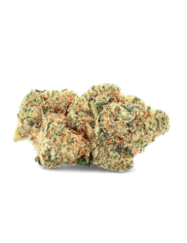 Fleur de CBD Suprême Amnesia de la marque Ivory