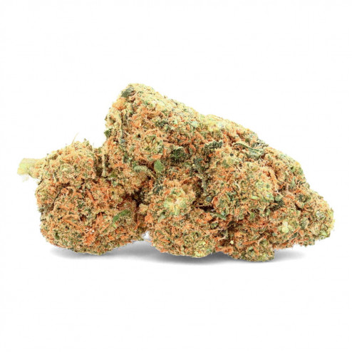 Mango Gelato - Ivory