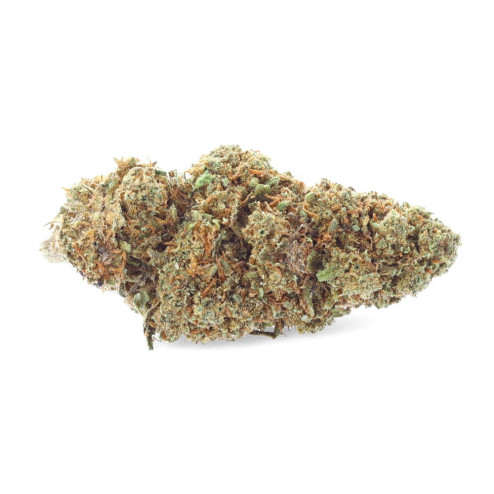 Harlequin 2.0 - Easy Weed