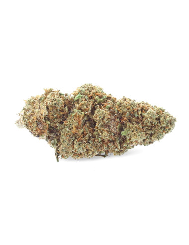 Harlequin 9% - Fleurs de CBD - Easy Weed
