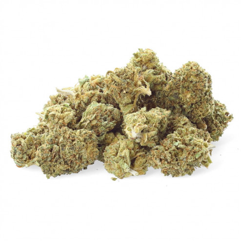 Critical Cheese - Easy Weed