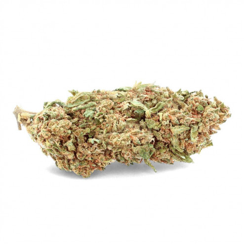 Blueberry - CBD.fr