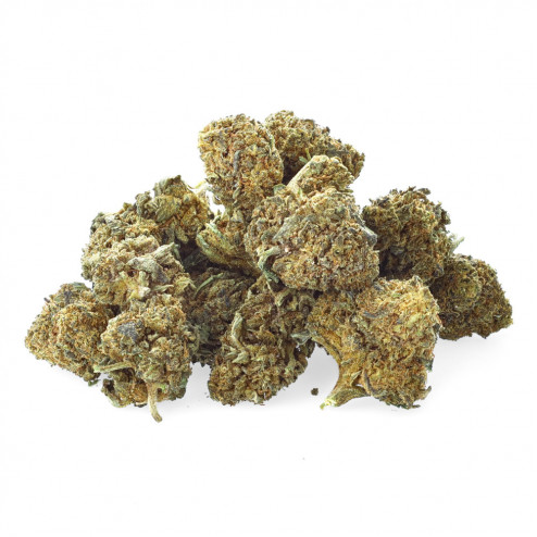 Sour Tangie - Easy Weed