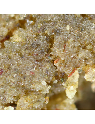 Iceolator pollen de CBD 40% pas cher