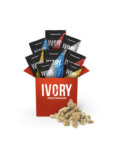 Pack CBD - Je veux toutes les fleurs Ivory Ivory - 1-cbd