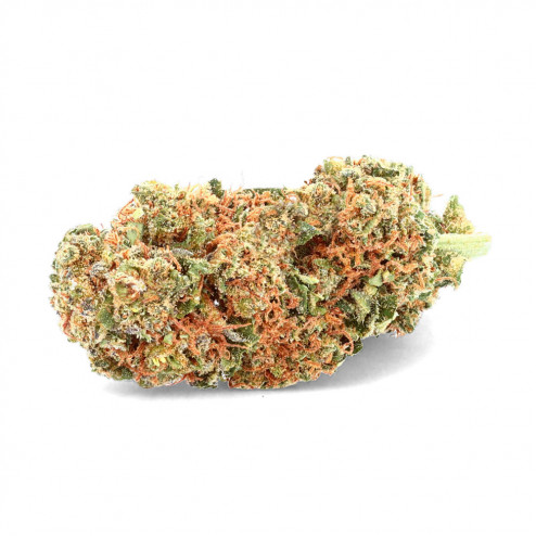 Lemon Haze - Ivory