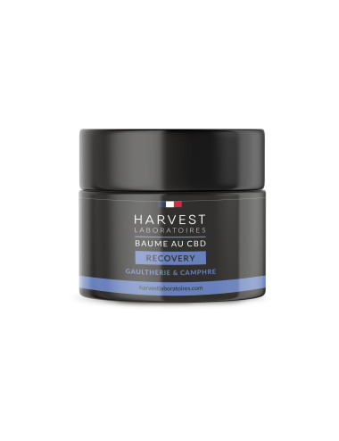 Le Baume Recovery de Harvest Lab pas cher sur CBD.fr