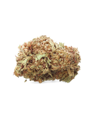 Cannatonic - Fleurs de CBD - Ivory pas cher sur cbd.fr