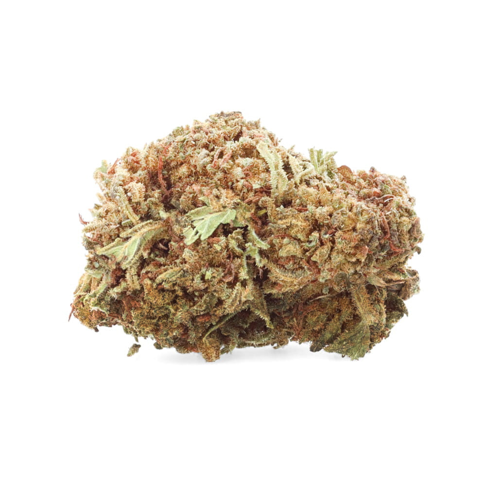 Cannatonic - Fleurs de CBD - Ivory pas cher sur cbd.fr Cannatonic - Fleurs de CBD - Ivory pas cher sur cbd.fr