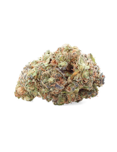 Caramel Kush - Fleurs de CBD - Ivory pas cher sur cbd.fr